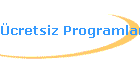 cretsiz Programlar